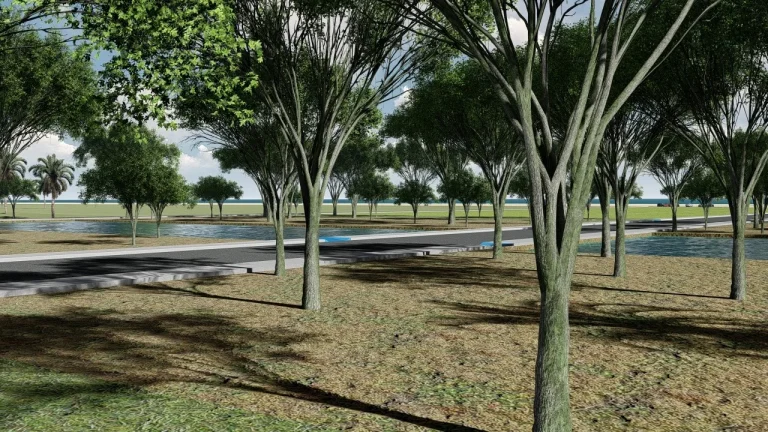 whatsapp image 2024 02 19 at 12.34.58